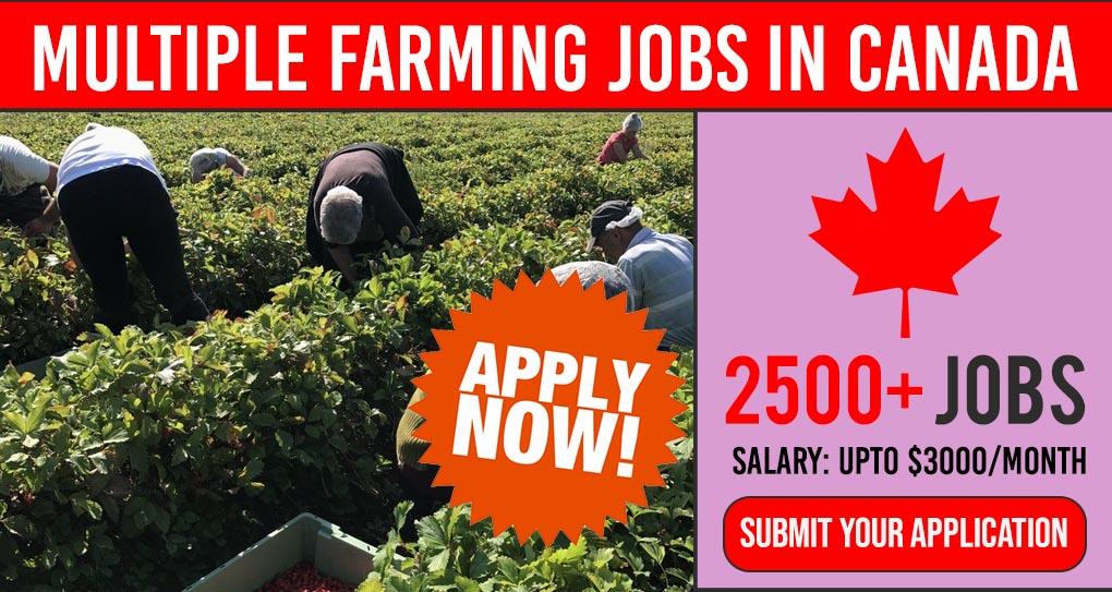 farming jobs canada 1